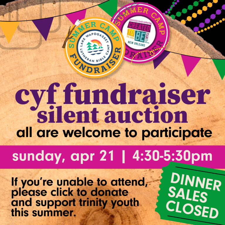 cyf fundraiser silent auction